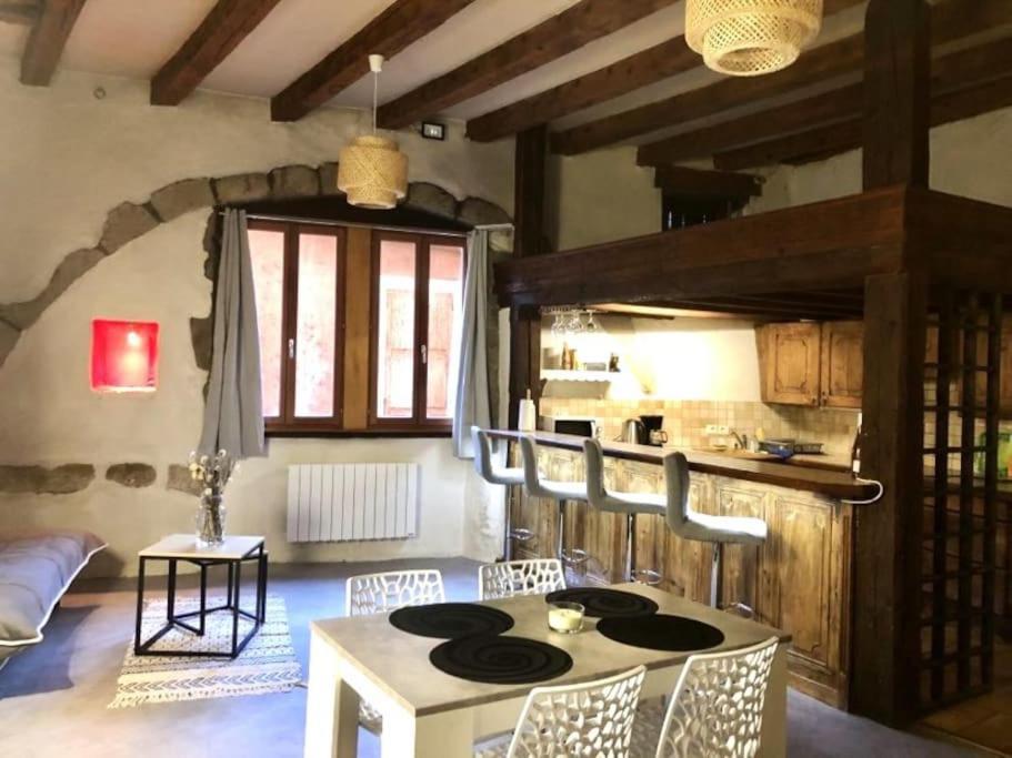 Apartament L'Atypique, Bord Du Thiou Annecy Zewnętrze zdjęcie